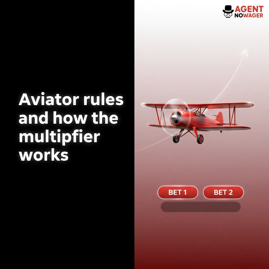 Aviator rules graphic: plane takes off, multiplier rises; cash out before it flies away; two bets, auto cash-out, demo mode.